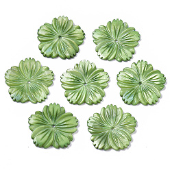 Lime Vert Perles de coquillages naturels d'eau douce, sculpté, teint, fleur, lime green, 28x28x3mm, Trou: 1.6mm