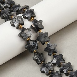 Larvikite Натуральные нити бус из ларвикита, граненые, звезда, с бисером, 14~15x14x6 мм, отверстие : 1 мм, около 27 шт / нитка, 15.94'' (40.5 см)