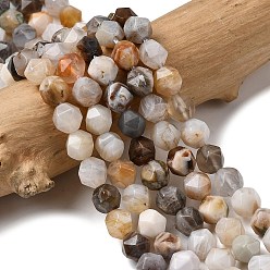 Бамбуковые Листья Агат Природные бамбуковых листьев агат бисер нитей, звезды вырезать круглые бусы, граненые, 5~6x5~6x5~6 мм, отверстие : 1~1.2 мм, около 64~68 шт / нитка, 14.80''~15.04'' (37.6~38.2 см)