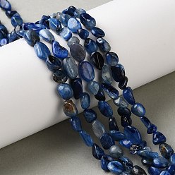 Кианит Натуральный кианитовые бисер пряди, самородки, упавший камень, 4~13x5.5~6.5x3.5~5 мм, отверстие : 0.6~0.7 мм, около 58~71 шт / нитка, 15.08~15.59 дюйм (38.3~39.6 см)