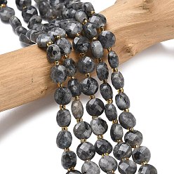 Larvikite Натуральные нити бус из ларвикита, с бисером, граненые, плоско-круглые, 6~6.5x4 мм, отверстие : 1.2 мм, около 49~52 шт / нитка, 15.35~15.75'' (39~40 см)