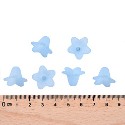 Light Blue Transparent Acrylic Beads, Frosted, Flower, Light Blue, 17.5x12mm, Hole: 1.5mm, about 770pcs/500g