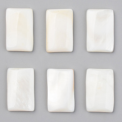 Coquillage De Mer Coquille eau douce naturelle cabochons, rectangle, couleur de coquillage, 21x13x3.5mm