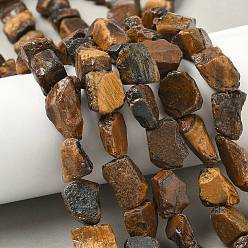 Тигровый глаз Сырой грубый натуральный тигр глаз бисер прядь, самородки, 6~24x7~16x4~10 мм, отверстие : 1 мм, около 25~38 шт / нитка, 15.35~15.94'' (39~40.5 см)