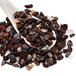 Брекчированных Джаспер Природные брекчированных яшмы, чип, нет отверстий / незавершенного, 1.5~1.7x1.5~5x1~2.5 мм