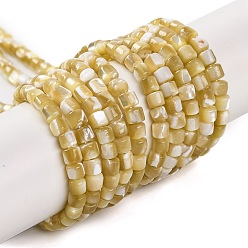 Светло-хаки Натуральные бусины из ракушек трохуса, колонка, светлый хаки, 3.5x3.5 мм, отверстие : 0.7 мм, около 114 шт / нитка, 15.16'' (38.5 см)