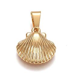 Золотой 304 подвески из нержавеющей стали, оболочка, золотые, 16x15x5 мм, отверстие : 7x3 мм