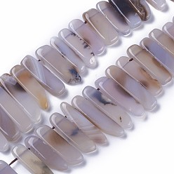 Light Grey Dyed Natural Agate Beads Strands, Tusk Shape, Light Grey, 16.5~39x7.5~9.5x5.5~6.5mm, Hole: 1.5mm, about 38~40pcs/strand, 14.8~15.3 inch(37.5~39cm)