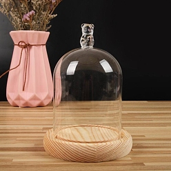 Цвет Древесины Купол из прозрачного стекла в форме медведя, декоративная витрина, колокол баночка террариум с деревянной основой, деревесиные, 90x150 мм