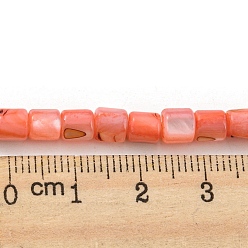 Salmon Natural Freshwater Shell Beads Strands, Dyed, Column, Salmon, 4~5.5x5mm, Hole: 0.6mm, about 74~75pcs/strand, 14.76~14.96 inch(37.5~38cm)