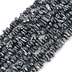 Черный Гальванические оболочки жемчужные бусы пряди, чип, чёрные, 5~12x2~5x4~6 мм, отверстие : 1 мм, 15.16~15.35'' (38.5~39 см)