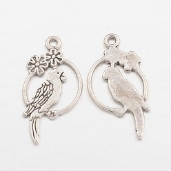 Античное Серебро Сплав тропических попугаев подвески, без свинца и без кадмия, античное серебро, 28x14.5x1.5 мм, Отверстие : 1.5 мм , около 980 шт / 1000 г