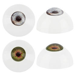 Mixed Color 2 Colors Craft Eyes, Acrylic Outside and Resin Filling Inside, for Doll Making, Half Round, Mixed Color, 32.5x18mm, 1pair/color, 2pairs/set