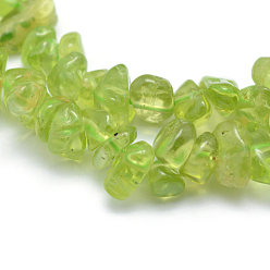 Peridot Natural Peridot Beads Strands, Chip, 5~7mm, Hole: 0.8mm, about 16 inch(40.6cm)