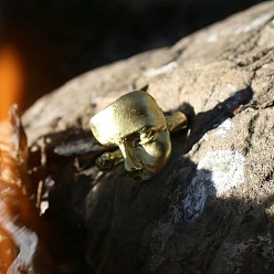 Золотой Открытые кольца манжеты из сплава, фальшивое лицо, матовые, золотые, внутренний диаметр: 15~20 мм