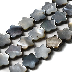 Цветок Натуральный черный оболочки губ бисер нитей, цветка сливы, цветок, 12x12x3 мм, отверстие : 1 мм, около 33 шт / нитка, 14.57'' (37 см)