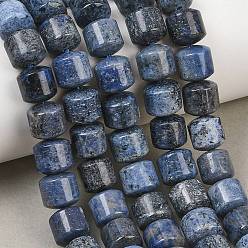 Dumortierite Natural Dumortierite Beads Strands, Column, 10x10mm, Hole: 1mm, about 39pcs/strand, 15.55''(39.5cm)