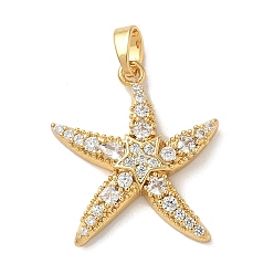 Золотой Латунные микро проложить кубического циркония подвески, прелести морская звезда, золотые, 22x19.5x4 мм, отверстие : 5x3 мм