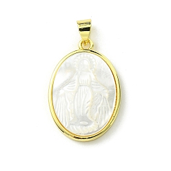 Oval Стойки с латунным покрытием, подвески из натуральных ракушек, овальные амулеты, долговечный, реальный 18 k позолоченный, без кадмия и без свинца, 25x17x4 мм, отверстие : 5x3 мм