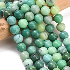 Moss Agate Natural Moss Agate Beads Strands, Smooth Round, 10~11mm, Hole: 1mm, about 38~39pcs/strand, 15.16~15.35''(38.5~39cm)