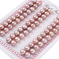 Фиолетовый Сорт 6бусины из натурального культивированного пресноводного жемчуга, половине просверлил, полукруглые бусины, фиолетовые, 8~8.5x6 мм, отверстие : 1 мм