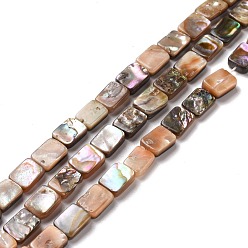 Paua Shell Natural Red Paua Shell Beads Strands, Cuboid, 6~6.5x8~8.5x2.5~3mm, Hole: 0.6mm, about 49~50pcs/strand, 16.14~16.34 inch(41~41.5cm)