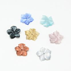 Color mezclado Abalorios de ojos de gato, flor, color mezclado, 14~15x15~16x3~4 mm, agujero: 1 mm