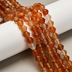 Красный Агат Нити натуральных бусин из сердолика (крашенные и нагретые), колокол, 8~8.5x8 мм, отверстие : 1 мм, около 45 шт / нитка, 13.78'' (35 см)