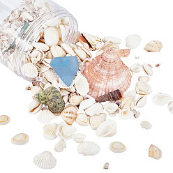 Mixed Color Natural Shell Beads and Sea Glass Chip Beads, Undrilled/No Hole Beads, Mixed Color, 500g/box