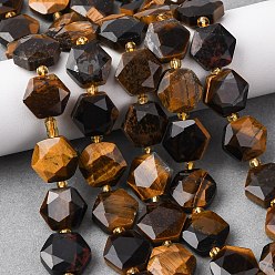 Тигровый глаз Природных тигровый глаз бисер нитей, шестиугольник, граненые, с бисером, 12x13.5x6.5 мм, отверстие : 1 мм, около 25 шт / нитка, 14.37'' (36.5 см)
