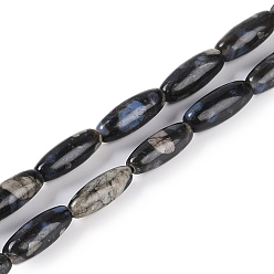 Glaucophane Бусы из натурального глаукофана, овальные, 16x6 мм, отверстие : 1 мм, около 25 шт / нитка, 15.75 дюйм (40 см)