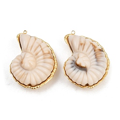 Морская Ракушка 304 подвески из нержавеющей стали, с акриловой, форма раковины, реальный 18 k позолоченный, ионное покрытие (ip), цвет морской раковины, 47.5x35x18 мм, отверстие : 1.8 мм
