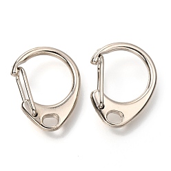Platine Mousquetons d'escalade en alliage de zinc, fermoirs clés, platine, 24x18x7mm