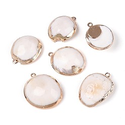 Морская Ракушка Подвески из натуральных ракушек с гальваническим покрытием, подвески в форме ракушек, с латунной фурнитурой , золотые, цвет морской раковины, 20~25x16~20x6~8.5 мм, отверстие : 1.2~1.4 мм