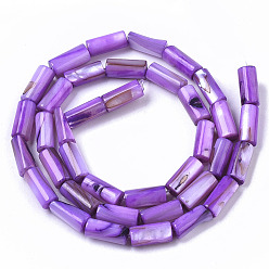 Violet Natural Freshwater Shell Beads, Dyed, Column, Violet, 10x4.5mm, Hole: 0.9mm, about 36pcs/Strand, 14.17 inch(36 cm)