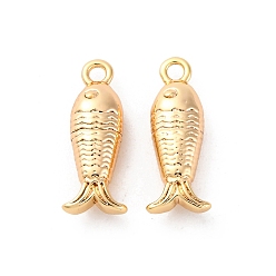 Настоящее золото 18K Латунные подвески, без кадмия, без никеля и без свинца, рыбы прелести, реальный 18 k позолоченный, 14.5x5.5x3.5 мм, отверстие : 1.4 мм