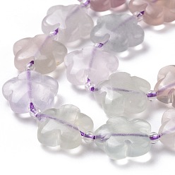 Fluorite Natural Flower Rainbow Fluorite Beads Strands, 15x5.5mm, Hole: 1mm, about 27pcs/strand, 16.53 inch