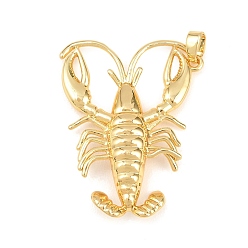 Креветка Латунные подвески, золотые, креветка, 35x27x4.5 мм, отверстие : 5x2 мм