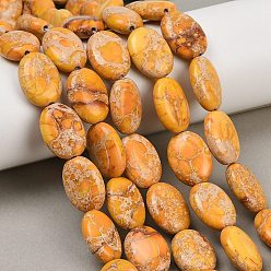 Золотистый Нити бусин из окрашенного натурального регалита/императорской яшмы/морского осадка яшмы, Плоско-овальные, золотые, 17.5~18x13~13.5x6.5~7 мм, отверстие : 0.7~1 мм, около 11 шт / нитка, 7.76'' (19.7 см)