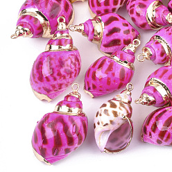 Fuchsia Spray Paint & Electroplate Spiral Shell Pendants, with Iron Findings, Light Gold, Fuchsia, 28~38x15~22x13~20mm, Hole: 2mm