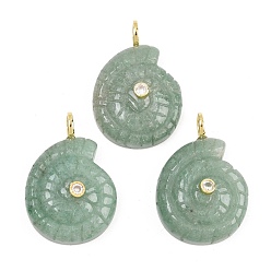 Зеленый Авантюрин Естественный зеленый авантюрин подвески, Подвески в виде раковин с латунными микропаве из прозрачных кубических цирконий., 33~34x22~23.5x10.5 мм, отверстие : 4.5 мм