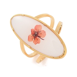 Золотой Овальное ионное покрытие (IP) 304 открытые манжеты из нержавеющей стали для женщин, с эпоксидной смолой и сухоцветом внутри, золотые, овальный : 28x12 mm, регулируемый