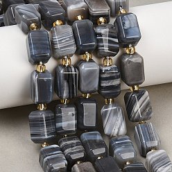 (946FM) Цитрин матовый с зеленой подкладкой Природные Ботсвана агат бисер нитей, граненые, кубоид, с бисером, 14.5x9.5 мм, отверстие : 1.2 мм, около 23 шт / нитка, 15.75'' (40 см)