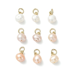 Золотой Подвески из натурального пресноводного жемчуга, Двусторонние полированные подвески с латунными петлями, разноцветные, золотые, 10x7~8 мм, Перейти кольцо: 5x0.8 мм, внутренний диаметр: 3.5 мм