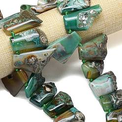 Зеленый Нити из натуральных бразильских агатов (окрашенных и нагретых) с градиентными бусинами, самородки, Топ пробуренной, зелёные, 20~48x18~32x8~12 мм, отверстие : 1.6 мм, около 21 шт / нитка, 15.75~16.42'' (40~41.7 см)