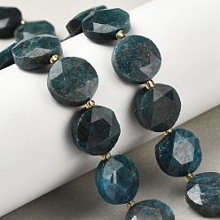 Апатит Природного апатита нитей бисера, граненый шестиугольный разрез, плоско-круглые, с бисером, 15x5.5 мм, отверстие : 1 мм, около 22 шт / нитка, 15.31'' (38.9 см)