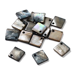 Серый Подвески из натуральных пресноводных ракушек, квадратный, серые, 13.5x13x2 мм, отверстие : 1.4 мм
