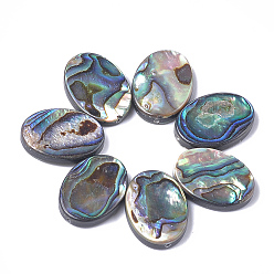 Colorful Abalone Shell/Paua Shell Beads, Oval, 18x13x3.5mm, Hole: 1mm