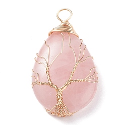 Розовый Кварц Природного розового кварца прелести, с латунной фурнитурой , слеза, 46~48.5x25~26x11~12 мм, отверстие : 4~5.5 мм