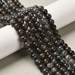 Лабрадорита Натуральные черные лабрадоритные бусинки, круглые, 6~6.5 мм, отверстие : 0.5~0.7 мм, около 62~72 шт / нитка, 15.16~15.75 дюйм (38.5~40 см)